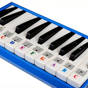 Melodica Key Stickers DVN Modern Vinyl Design-0